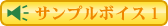 �T���v���{�C�X1